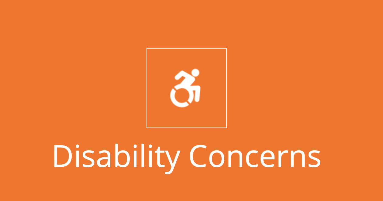 Image result for Disability concerns